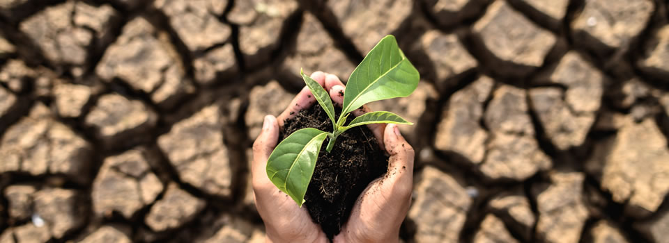 Alinhamento essencial com metas climáticas globais