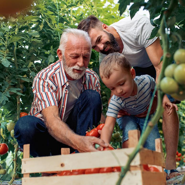 Sustentabilidade no Prato