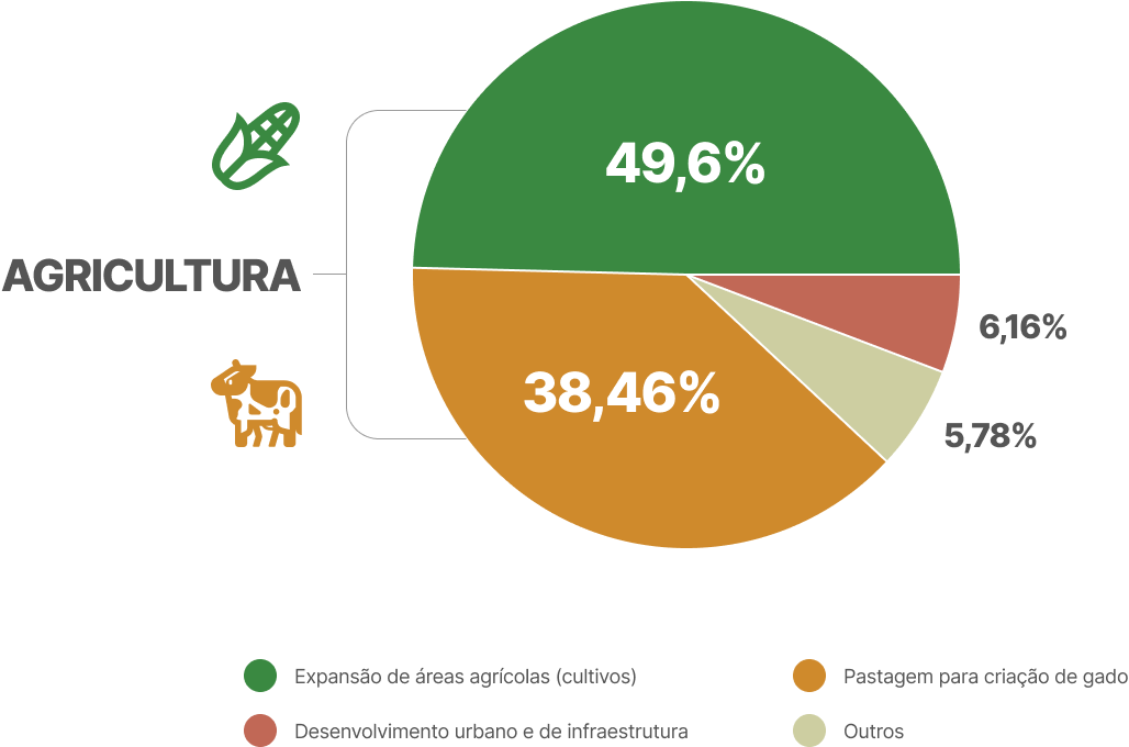 Quase 90% do desmatamento no mundo é devido à expansão agrícola